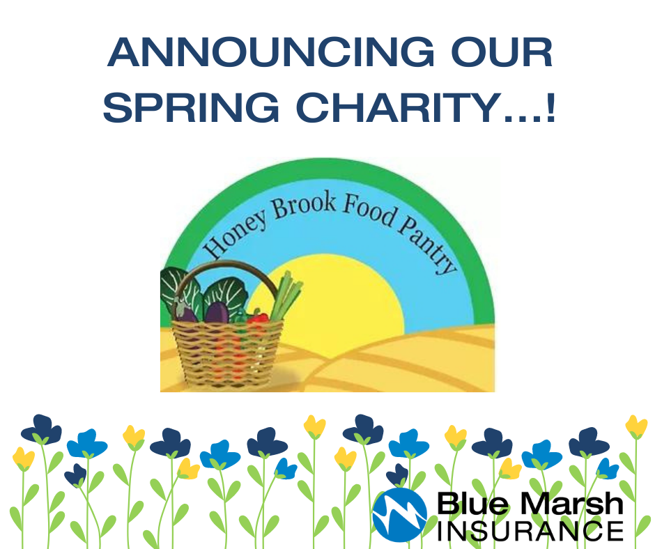 Announcing our spring charity